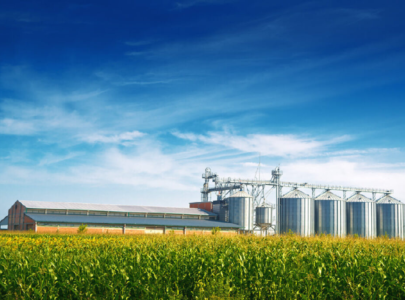 Agroindústrias Nutrição Vegetal