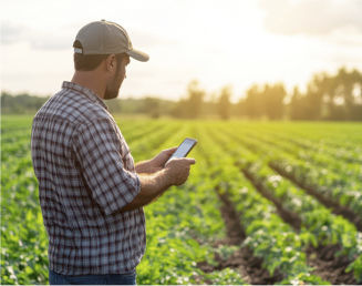 Previsibilidade de Custos e Fornecimento