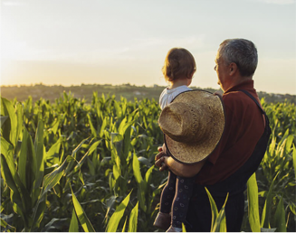 Independência de Riscos Geopolíticos