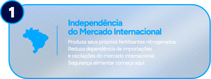 Independência do mercado internacional