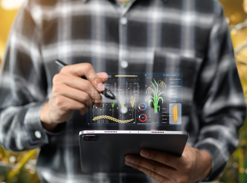 Traders e fomentos estratégicos