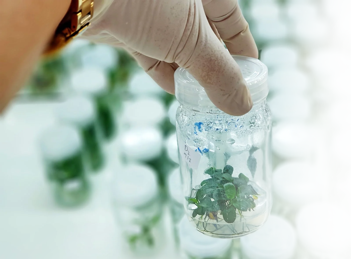 Validação técnica em laboratório